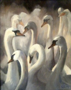 Dawn swans