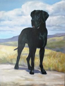 dog portraits in nottingham