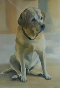 dog portraits nottingham